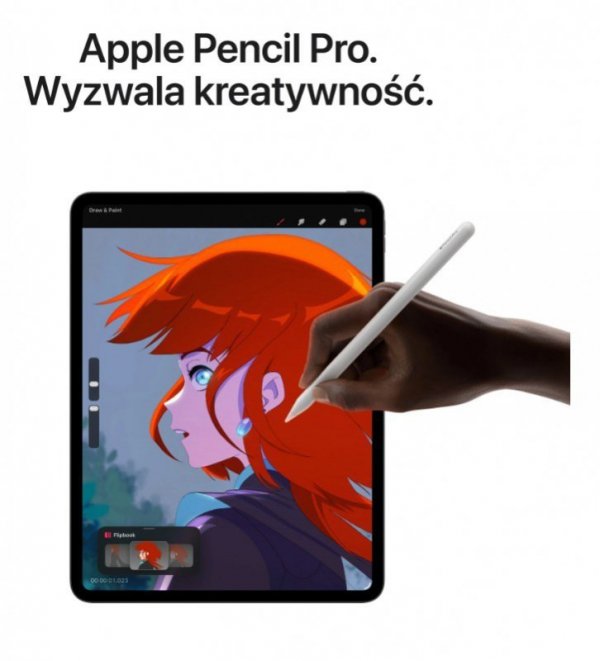 Apple iPad Pro 11-calowy Wi-Fi + Cellular 2 TB ze szkłem standardowym - Gwiezdna czerń
