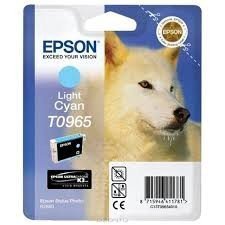 Epson Atrament/T096 Light Cyan f R2880