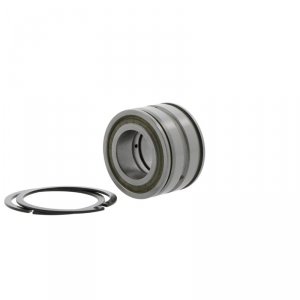 Łożysko walcowe SL045009 PP2NR INA 45X75X40