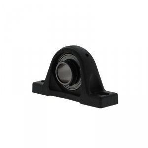 PASEY50 N