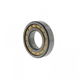 NUP216 -E-MPA-C3