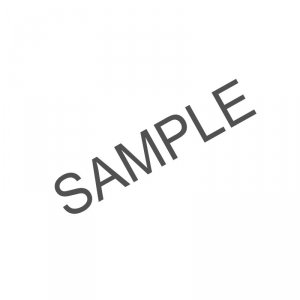 GE100 -ES-2RS
