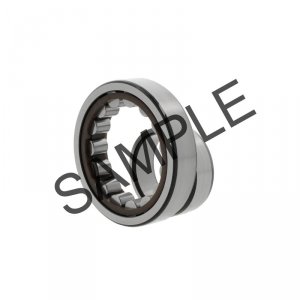 NUP332 -E-M1
