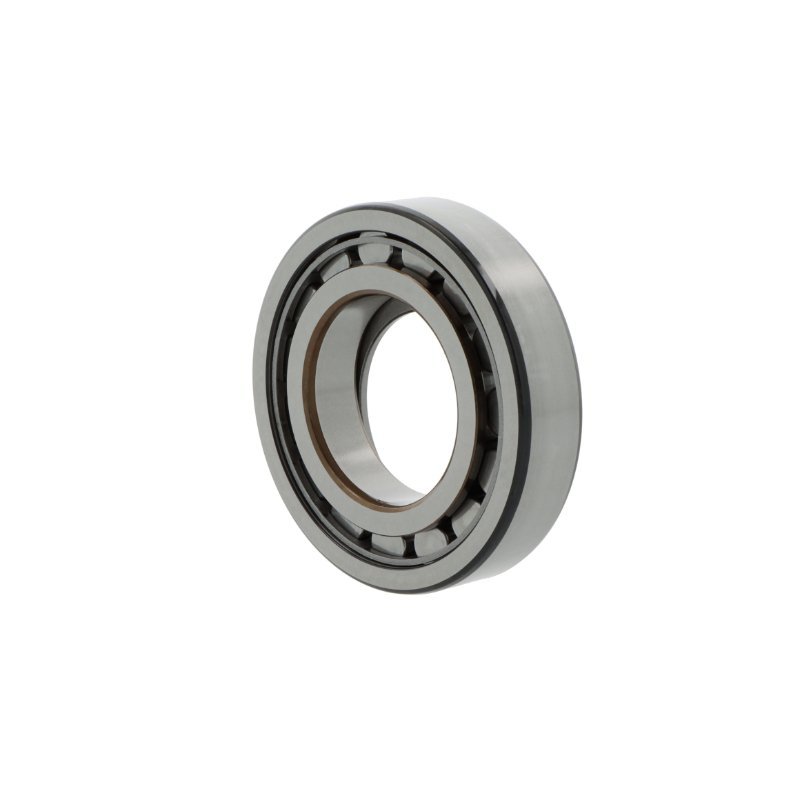 NUP210  EWC3