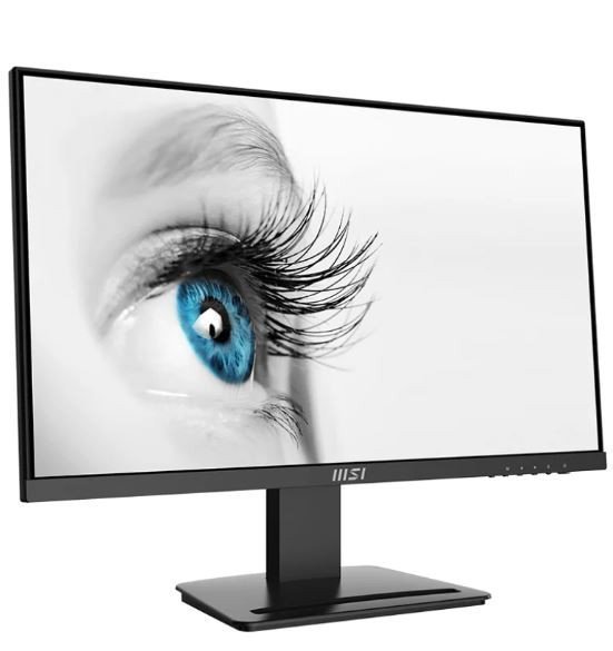 MSI Monitor PRO MP243X 24 cale^LED^FHD^Flat^100Hz^Black