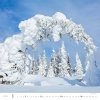 Kalendarz 14-planszowy Forest 2025 - styczeń 2025