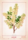 H17 Kalendarz ścienny wieloplanszowy HERBARIUM 2026 Z NADRUKIEM