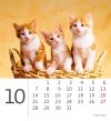 Kalendarz biurkowy 2024 Kotki (Kittens) - październik 2024