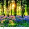 H31 Kalendarz ścienny wieloplanszowy Forest 2026
