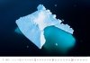 Kalendarz 14-planszowy Sea 2025 - styczeń 2025