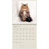 Kalendarz ścienny wieloplanszowy Koty 2024 z naklejkami - przykładowa kartka z kalendarza