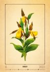 Kalendarz ścienny wieloplanszowy Herbarium 2023 - sierpień 2023