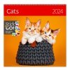 Kalendarz ścienny wieloplanszowy Cats 2024 z naklejkami - okładka