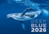 H11 Kalendarz ścienny wieloplanszowy Deep Blue 2026 Z NADRUKIEM