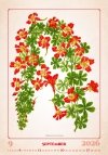 N144 Kalendarz ścienny wieloplanszowy Herbarium 2026
