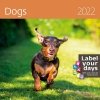 Kalendarz ścienny wieloplanszowy Dogs 2022 z naklejkami - okładka 