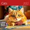 Kalendarz ścienny wieloplanszowy Cats 2022 z naklejkami - okładka 2022