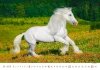 Kalendarz ścienny wieloplanszowy Horses 2024 - wrzesień 2024