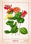 N144 Kalendarz ścienny wieloplanszowy Herbarium 2026