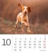 Kalendarz biurkowy 2023 Pieski (Puppies) - październik 2023