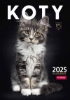 Kalendarz ścienny wieloplanszowy A4 KOTY 2025 - okładka