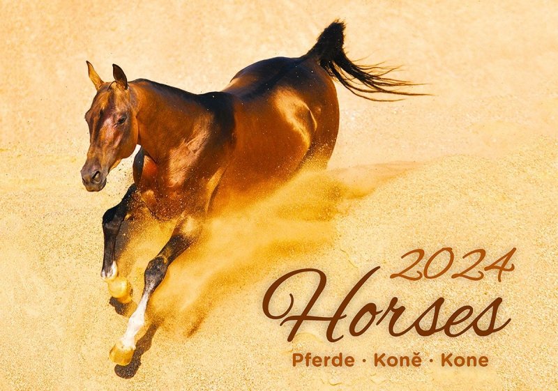 Kalendarz ścienny wieloplanszowy Horses 2024 - okładka 