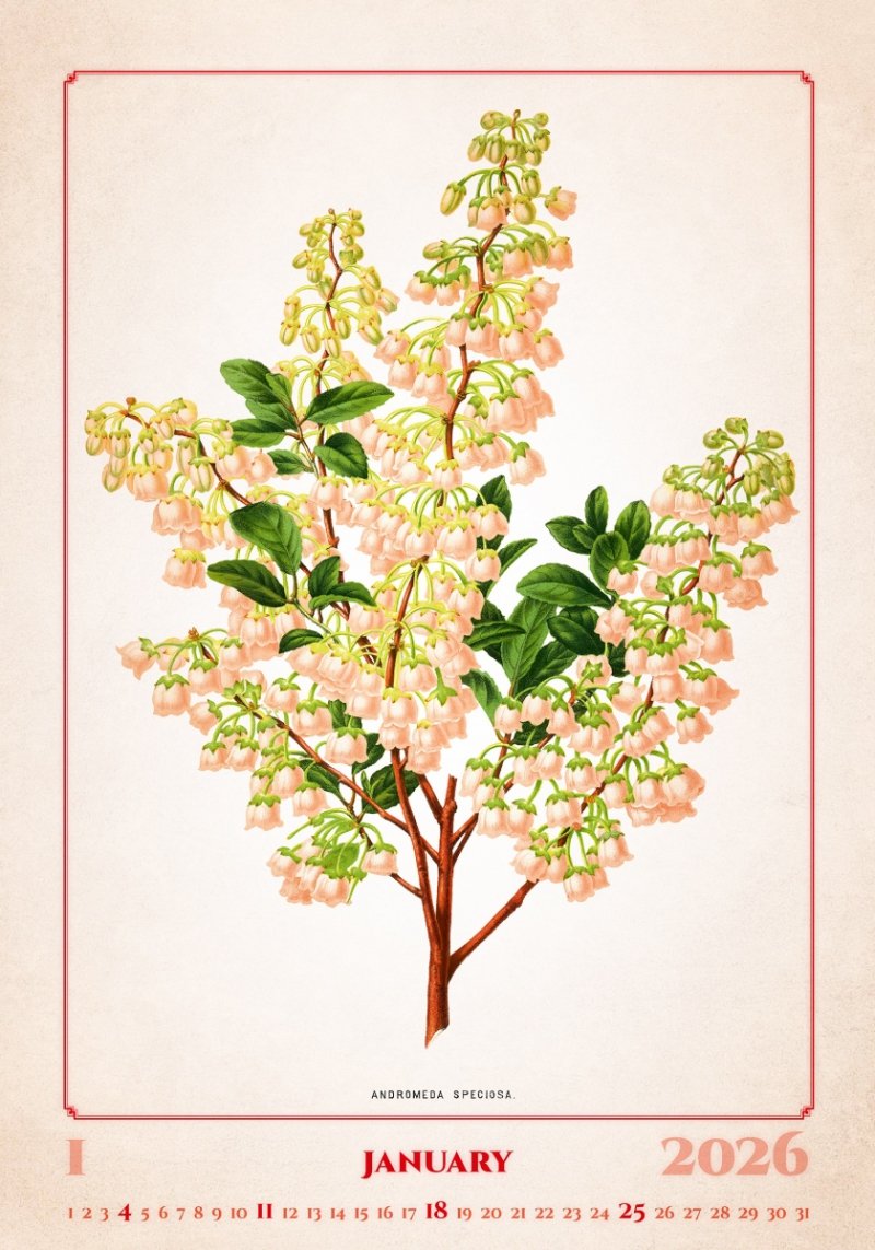 H17 Kalendarz ścienny wieloplanszowy HERBARIUM 2026 Z NADRUKIEM