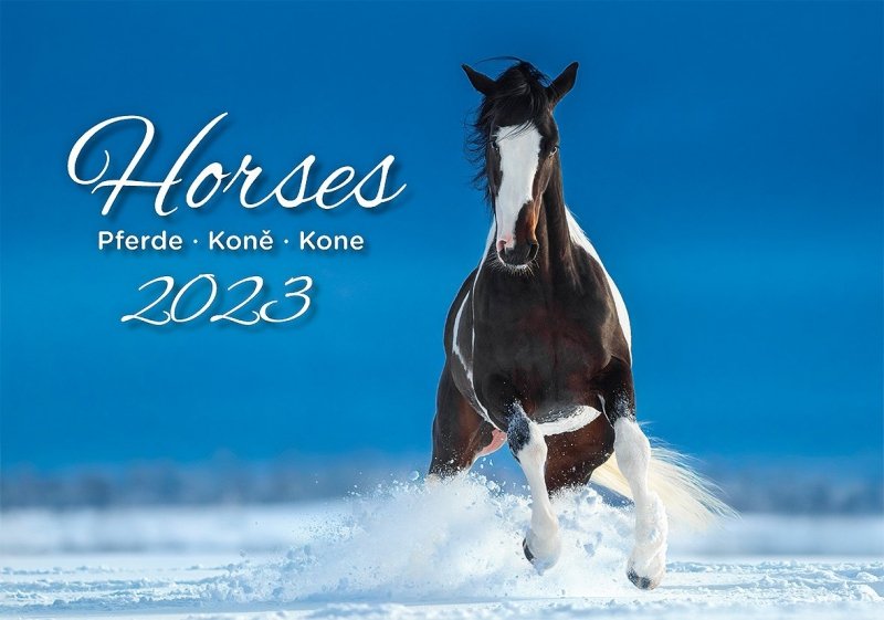 Kalendarz ścienny wieloplanszowy Horses 2023 - okładka 