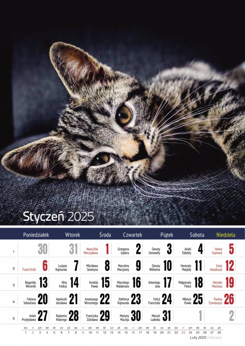 Kalendarz ścienny wieloplanszowy A4 KOTY 2025 - styczeń 2025