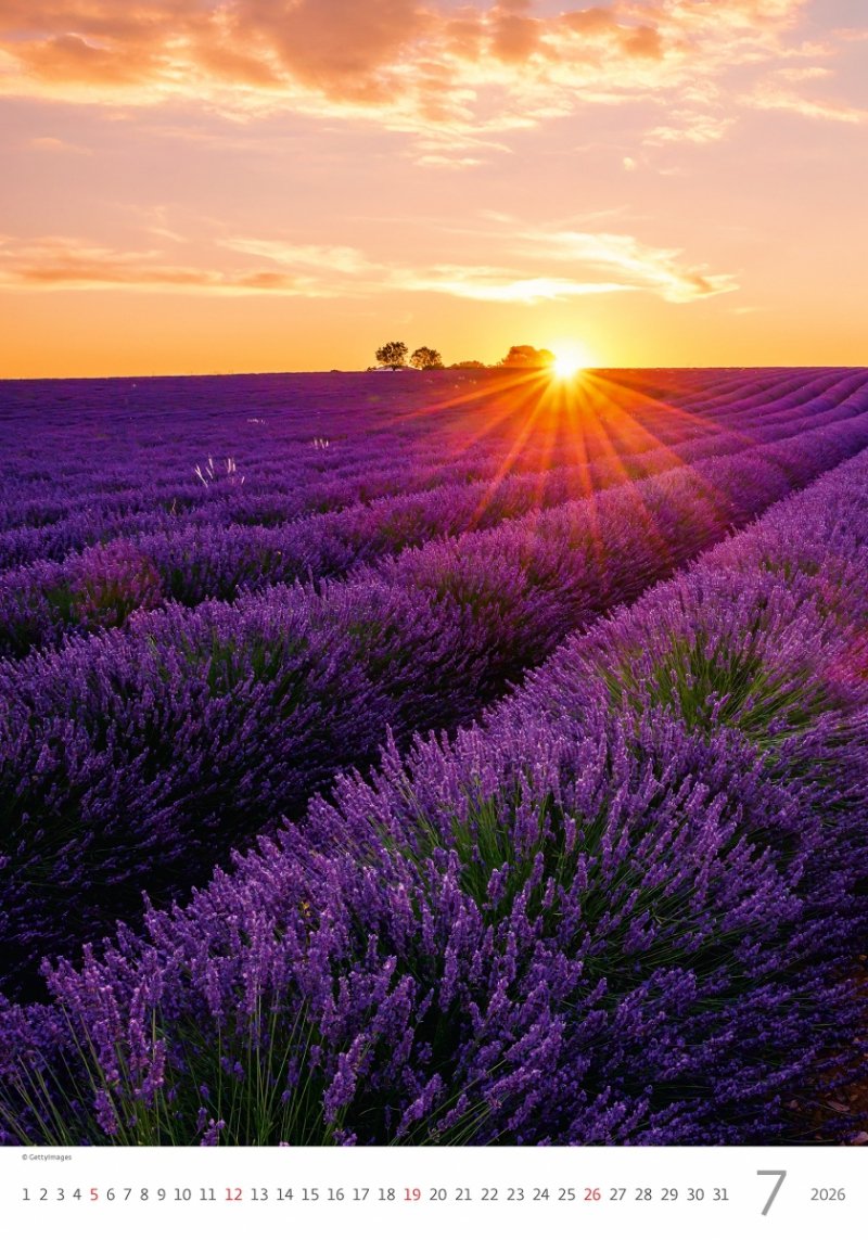 H15 Kalendarz ścienny wieloplanszowy Provence 2026 Z NADRUKIEM