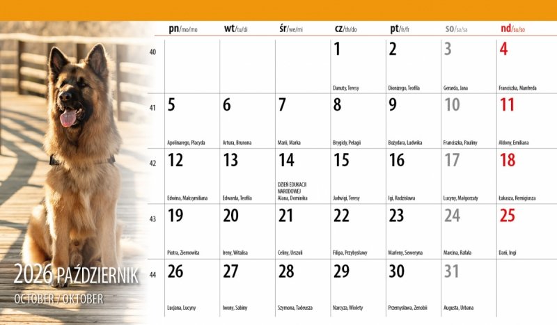 biurkowy kalendarz na rok 2026 