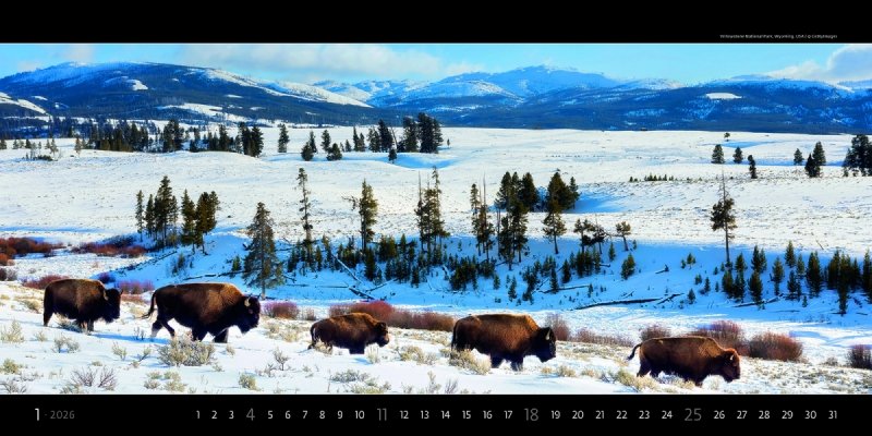 duży kalendarz ścienny na rok 2026 z pięknymi zdjęciami