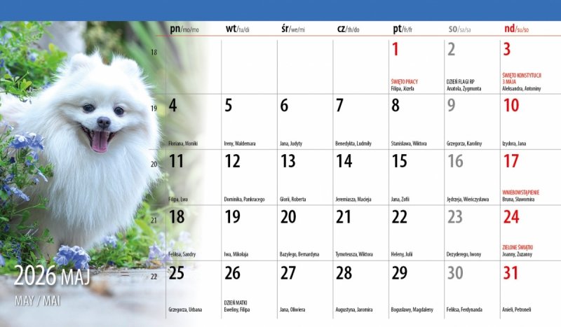 miesięczny kalendarz do postawienia na biurko na rok 2026