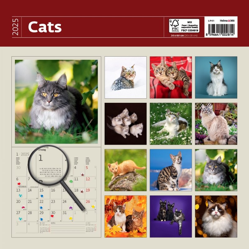 Kalendarz ścienny wieloplanszowy Cats 2025 z naklejkami - okładka tył
