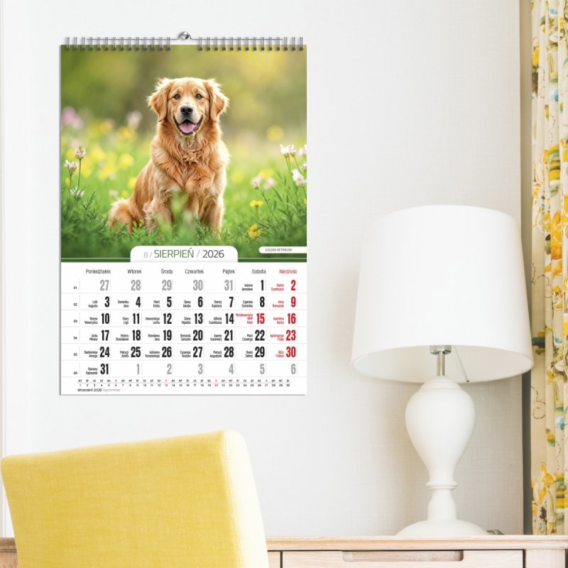 wieloplanszowy kalendarz do powieszenia na ścianie z ujęciami psich przyjaciół