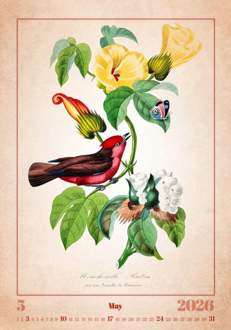 kalendarz 2026 na spirali, miesięczny