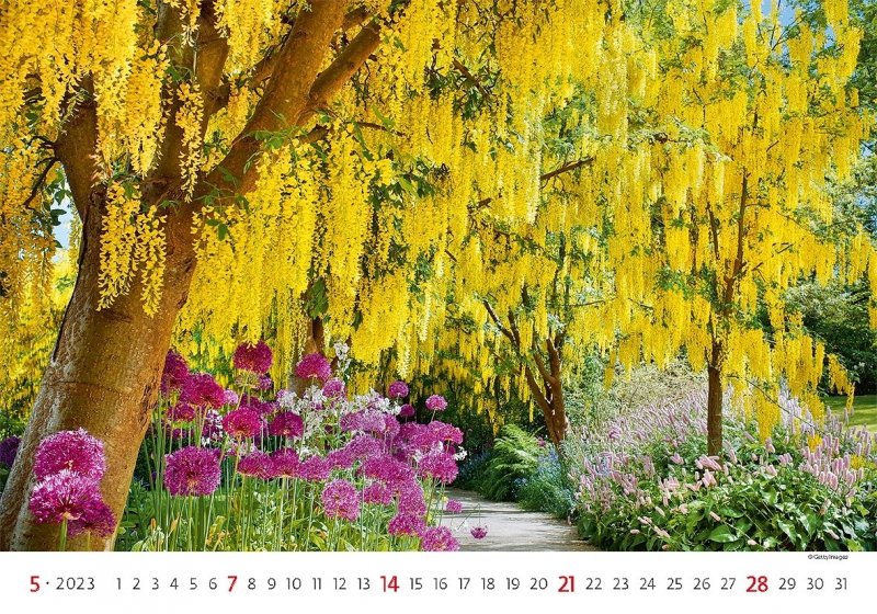 Kalendarz ścienny wieloplanszowy Gardens 2023 - maj 2023