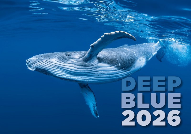 H11 Kalendarz ścienny wieloplanszowy Deep Blue 2026 Z NADRUKIEM