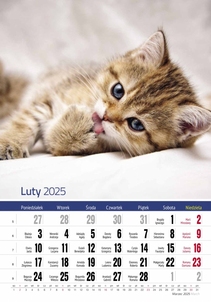 Kalendarz ścienny wieloplanszowy PRZYJACIELE 2025 - luty 2025