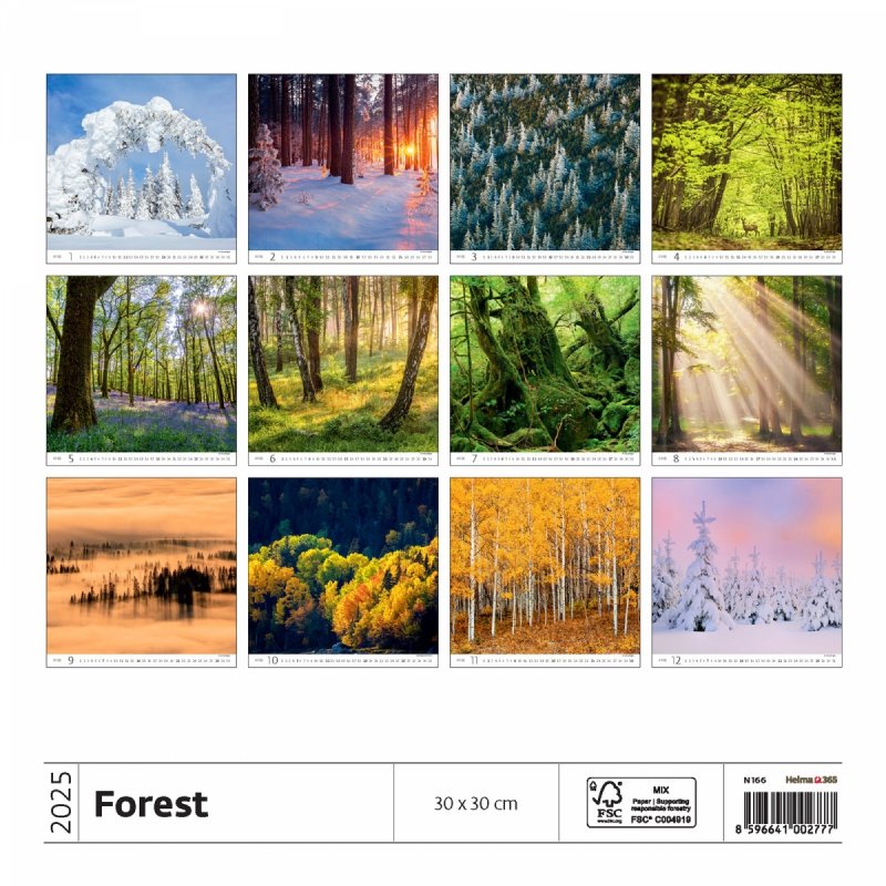 Podgląd wszystkich zdjęć z kalendarza Forest na rok 2025