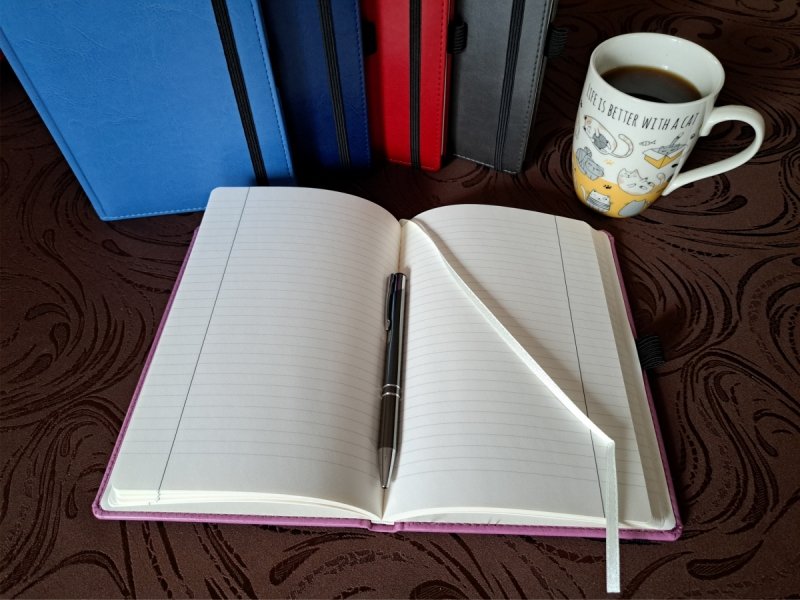 Notes w linie z długopisem w komplecie