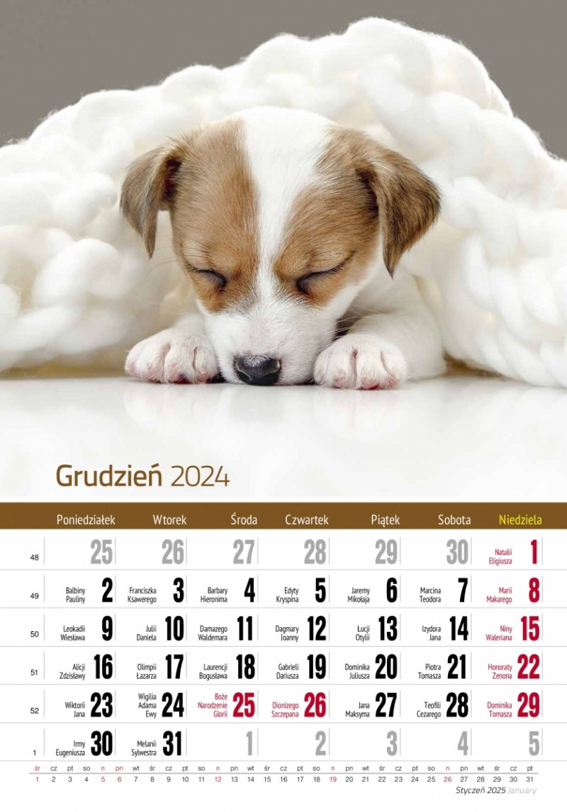 Kalendarz ścienny wieloplanszowy PRZYJACIELE 2025 - grudzień 2024