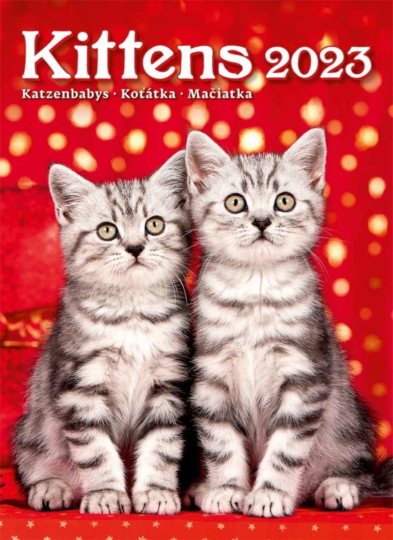 Kalendarz ścienny wieloplanszowy Kittens 2023 - okładka 