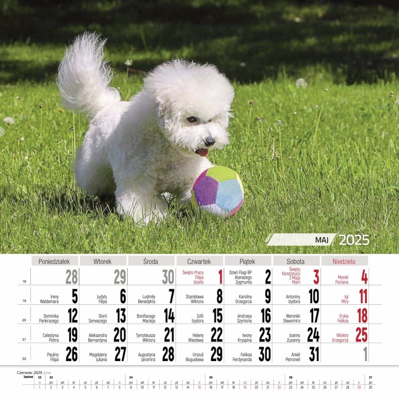 Kalendarz ścienny wieloplanszowy 33x33 cm PRZYJACIELE 2025 - maj 2025