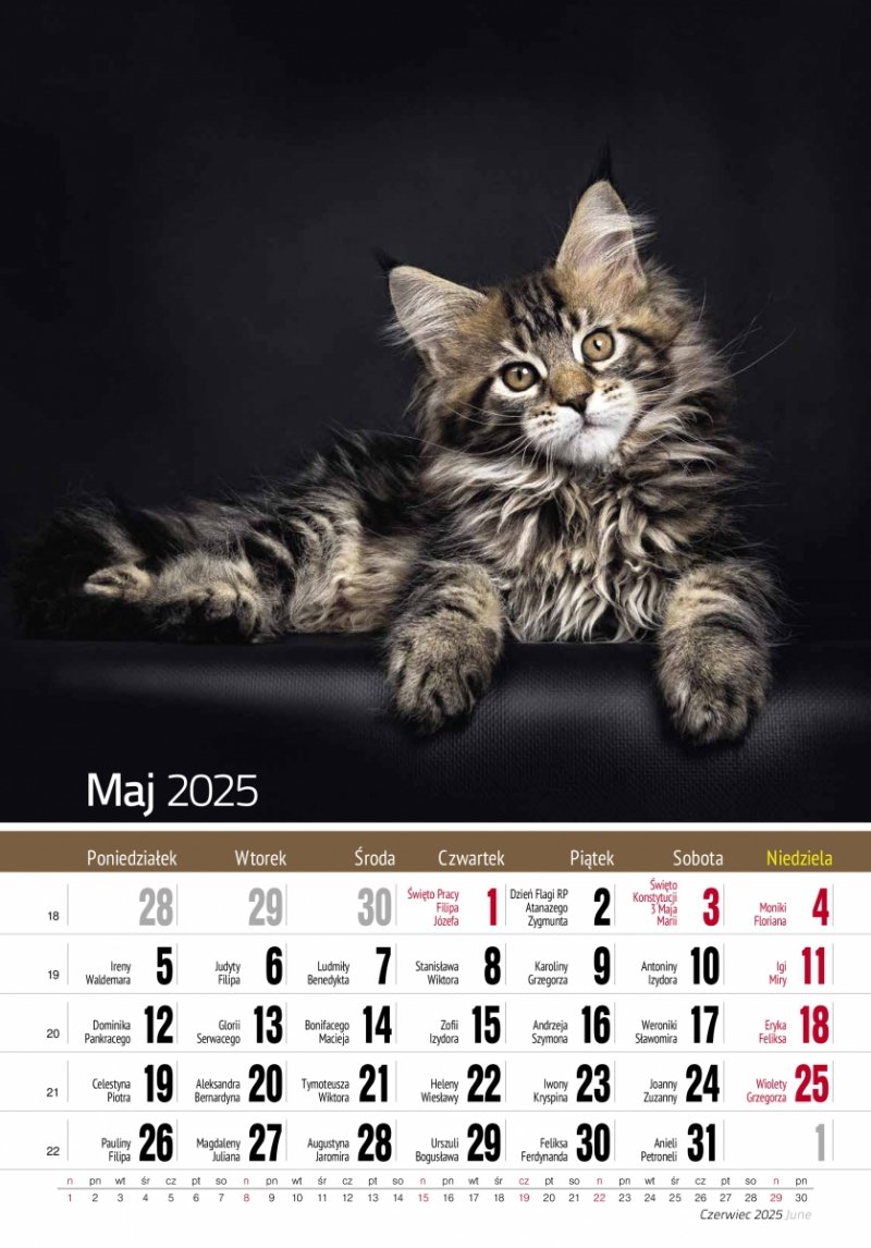 Kalendarz ścienny wieloplanszowy KOTY 2025 - maj 2025