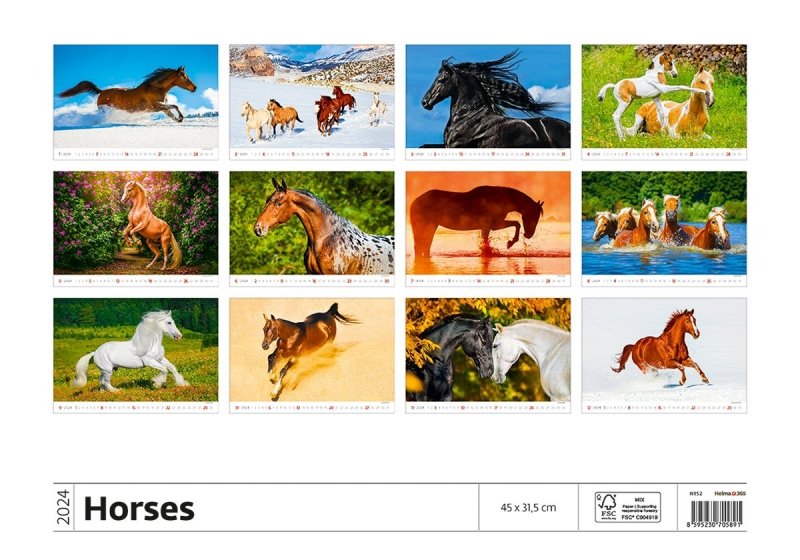 Kalendarz ścienny wieloplanszowy Horses 2024 - okładka tył
