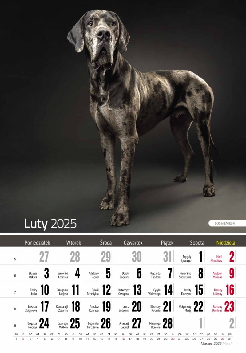 Kalendarz ścienny wieloplanszowy PSY 2025 - luty 2025
