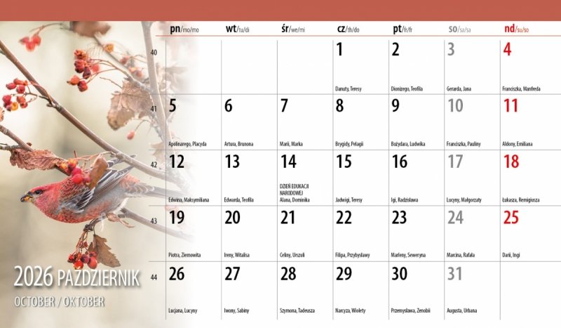 miesięczny kalendarz z różnymi widokami na rok 2026
