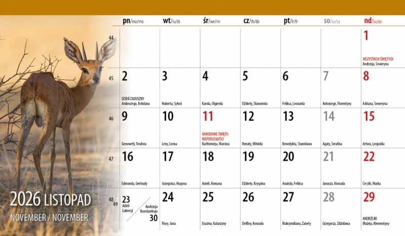 biurowy kalendarz 2026 cały miesiąc na stronie