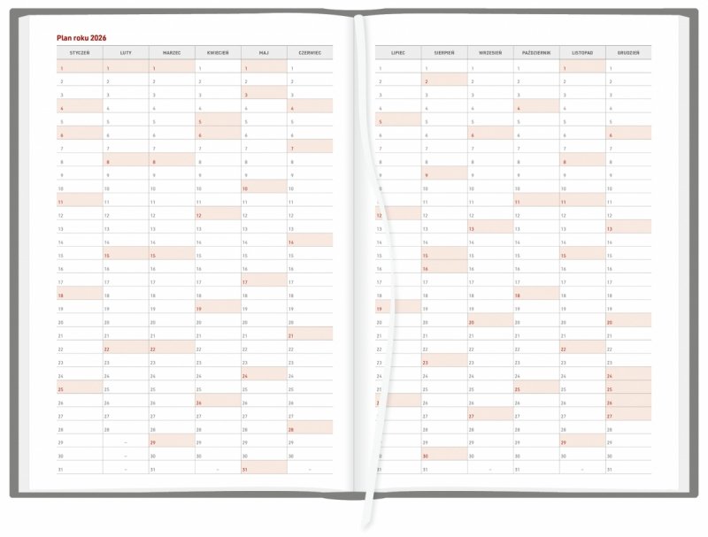 plan roku 2026 w kalendarzy dziennym 